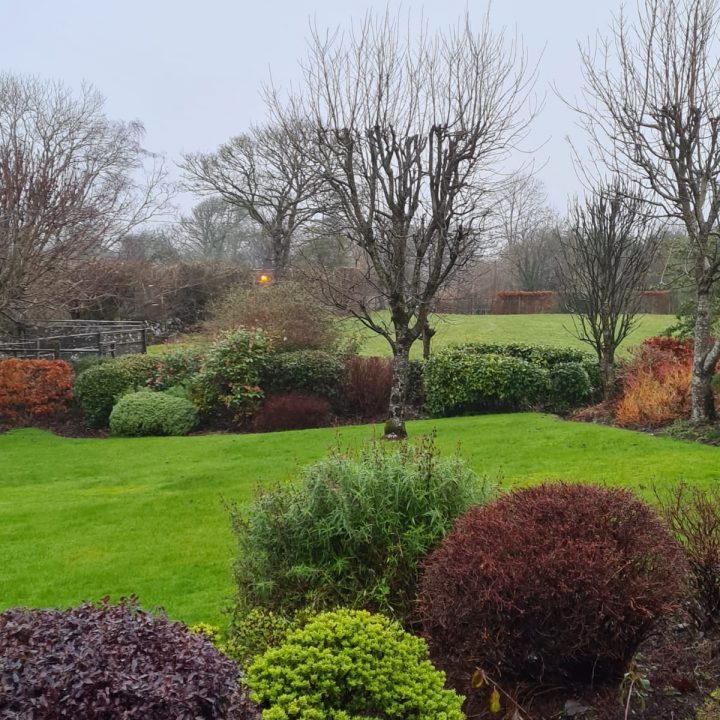 PHOTO-2022-05-12-21-49-42